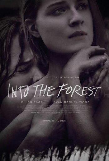 Bên Trong Khu Rừng - Into The Forest