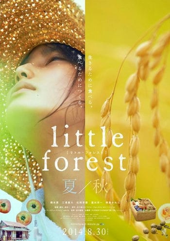 Cánh Đồng Nhỏ Hạ/thu - Little Forest 1 Summer/autumn