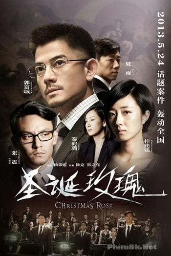 Hoa Hồng Giáng Sinh - Christmas Rose