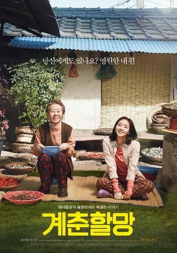 Hoa Cải Vàng - Canola