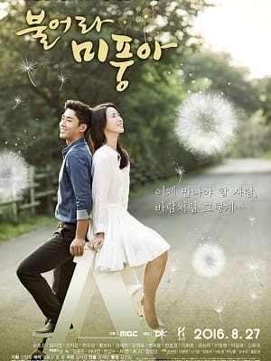 Ngọn Gió Đời Tôi - Blow Breeze