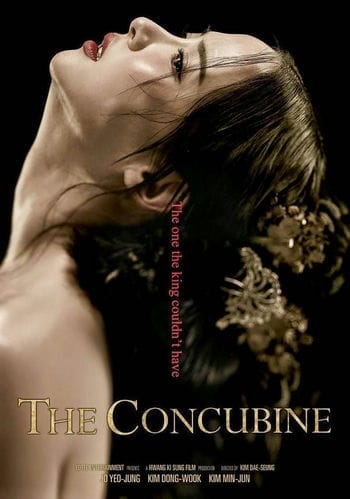 Tình Ái Vương Phi - The Concubine