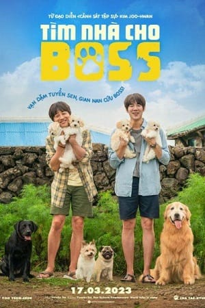 Tìm Nhà Cho Boss - My Heart Puppy
