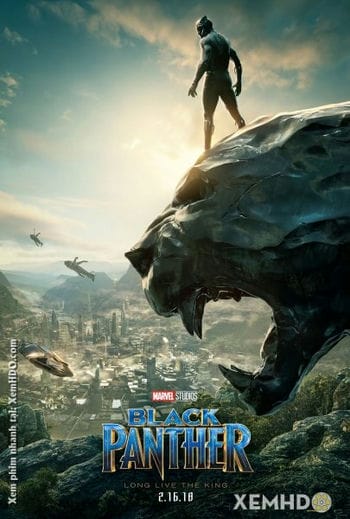 Chiến Binh Báo Đen - Black Panther