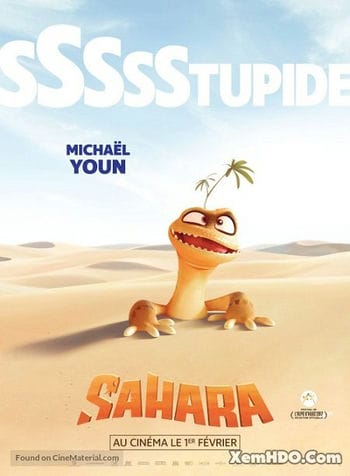 Sa Mạc Sahara - Sahara