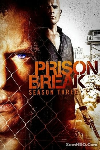 Vượt Ngục 3 - Prison Break: Season 3