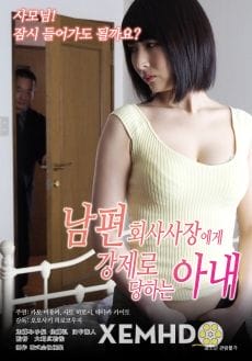 Vợ Của Doanh Nhân - Bankman Wife