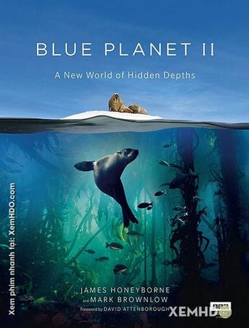 Hành Tinh Xanh 2 - Blue Planet Ii