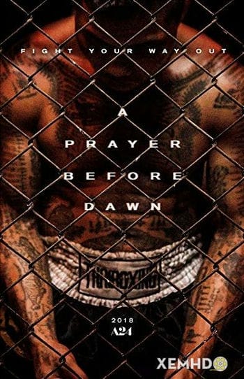 Lời Cầu Nguyện Trước Bình Minh - A Prayer Before Dawn