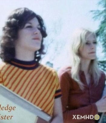Pledge Sister - Pledge Sister