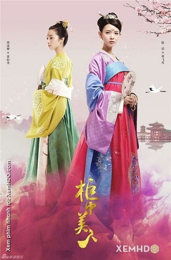Quỹ Trung Mỹ Nhân - Beauties In The Closet