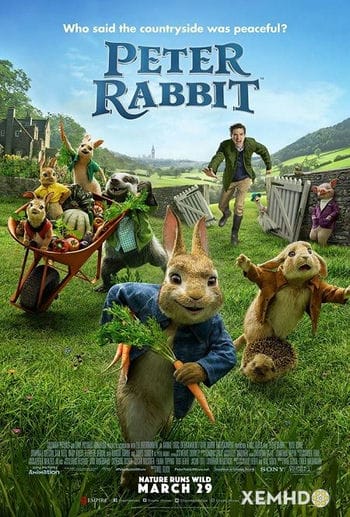 Thỏ Peter - Peter Rabbit