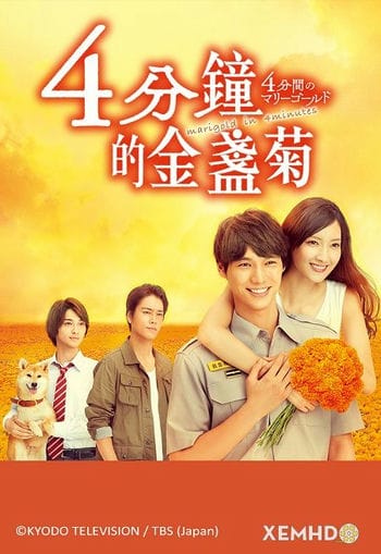 4 Phút Định Mệnh Và Cúc Vạn Thọ - Marigold In 4minutes