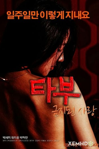 Cấm Kỵ Trong Tình Yêu - Taboo Forbidden Love