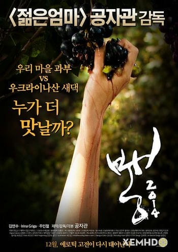 Cuộc Thi Đấu Giữa Hai Nàng Dâu - Mulberry