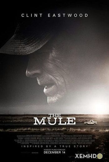 Già Gân - The Mule