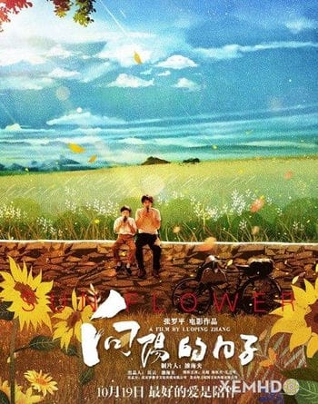 Hẹn Ước Hoa Hướng Dương - Sun Flower