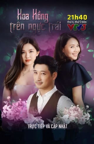 Hoa Hồng Trên Ngực Trái - Hoa Hong Tren Nguc Trai