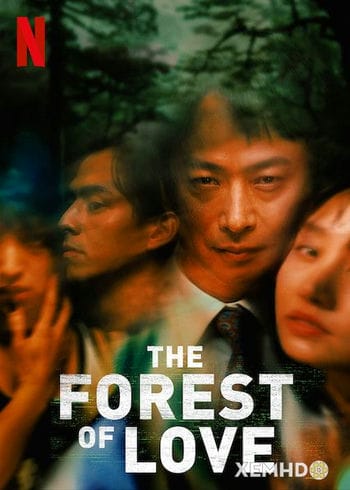 Khu Rừng Tình Yêu - The Forest Of Love