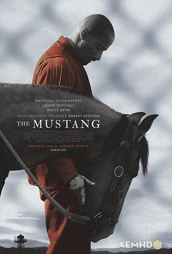 Những Linh Hồn Hoang Dã - The Mustang