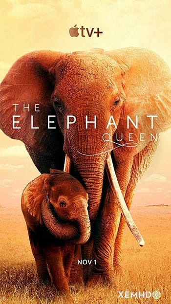 Nữ Hoàng Voi - The Elephant Queen
