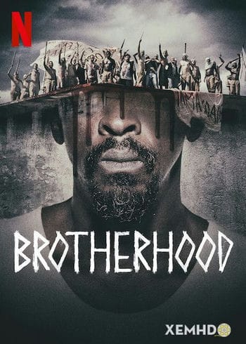 Tình Anh Em - Irmandade / Brotherhood