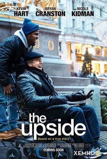 Trợ Lý Hết Ý - The Upside