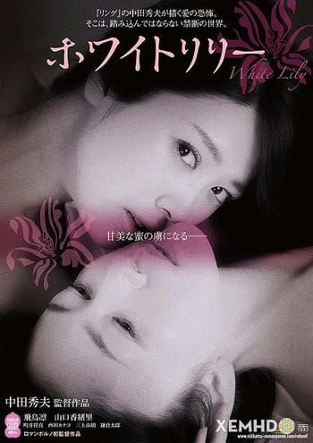 Hoa Ly Trắng - White Lily