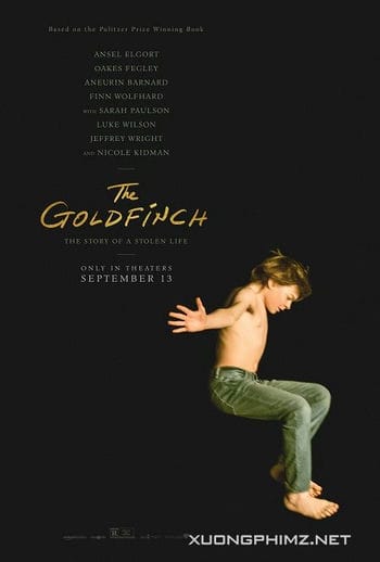 Chim Vàng Anh - The Goldfinch
