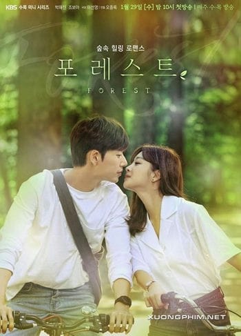 Khu Rừng Bí Mật - Forest