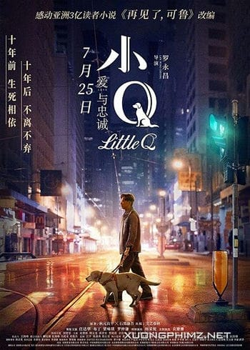 Tiểu Q - Little Q