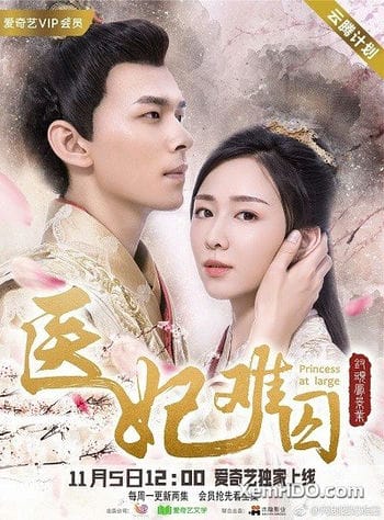 Y Phi Khó Giữ - Princess At Large