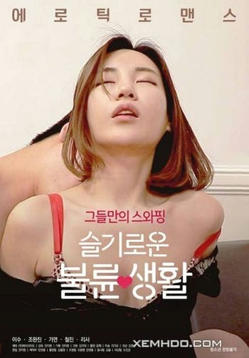Quan Hệ Lén Lút - A Discreet Affair