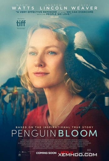 Cánh Cụt Nhà Bloom - Penguin Bloom