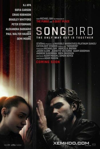 Giữa Tâm Dịch - Songbird