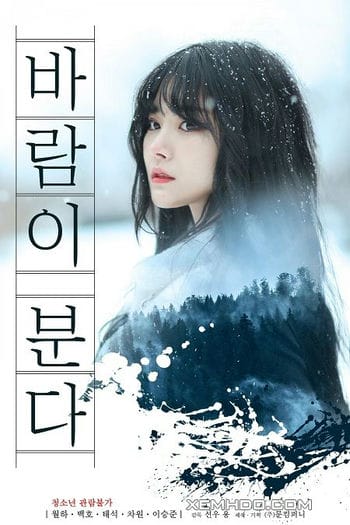 Tình Yêu Vụt Qua - Wind Blows