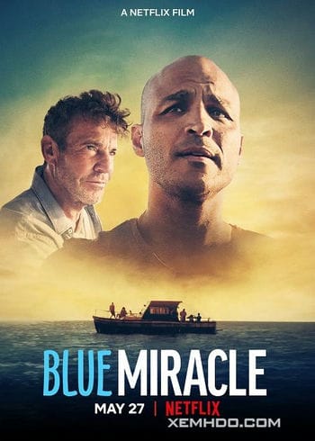 Kỳ Tích Biển Xanh - Blue Miracle