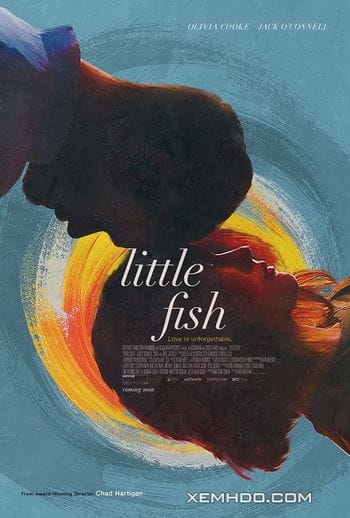 Ký Ức Mơ Hồ - Little Fish