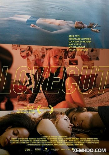 Lát Cắt Tình Yêu - Lovecut