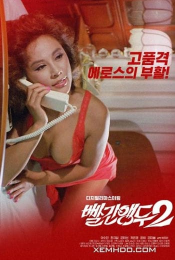 Cherry Đỏ 2 - Red Cherry 2