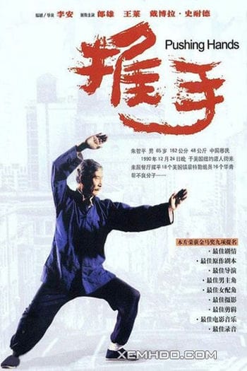 Thôi Thủ - Pushing Hands