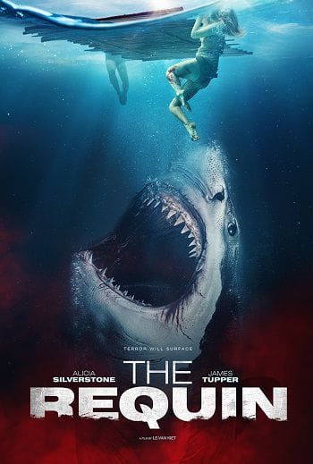 Chơi Vơi Giữa Biển Khơi - The Requin