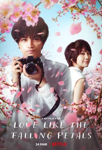 Tình Yêu Như Cánh Hoa Rơi - Love Like The Falling Petals