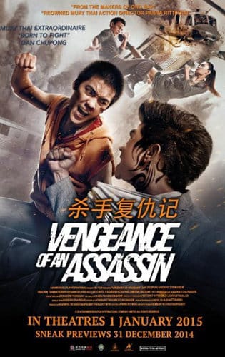 Sát Thủ Trả Thù - Vengeance Of An Assassin